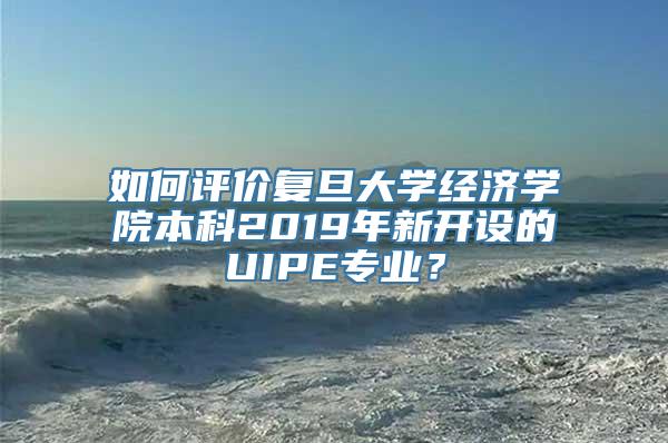 如何评价复旦大学经济学院本科2019年新开设的UIPE专业？