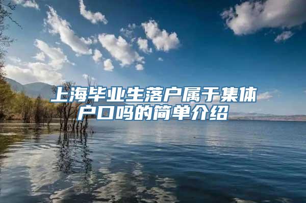 上海毕业生落户属于集体户口吗的简单介绍