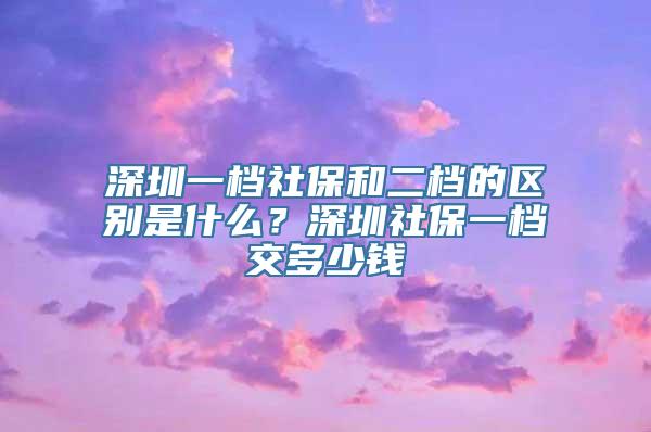 深圳一档社保和二档的区别是什么？深圳社保一档交多少钱