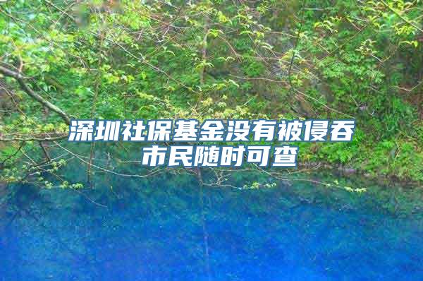 深圳社保基金没有被侵吞 市民随时可查