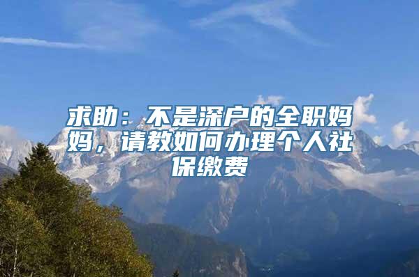 求助：不是深户的全职妈妈，请教如何办理个人社保缴费