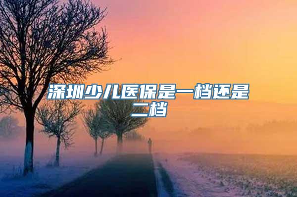 深圳少儿医保是一档还是二档