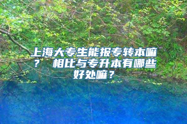 上海大专生能报专转本嘛？ 相比与专升本有哪些好处嘛？