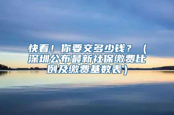 快看！你要交多少钱？（深圳公布最新社保缴费比例及缴费基数表）