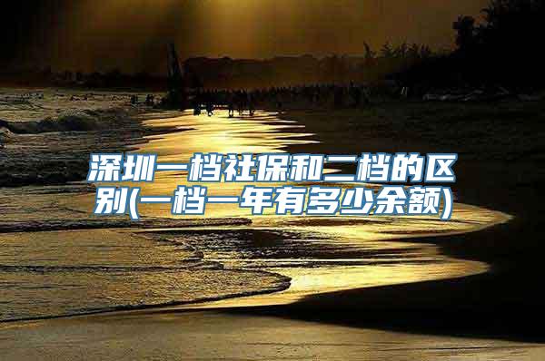 深圳一档社保和二档的区别(一档一年有多少余额)