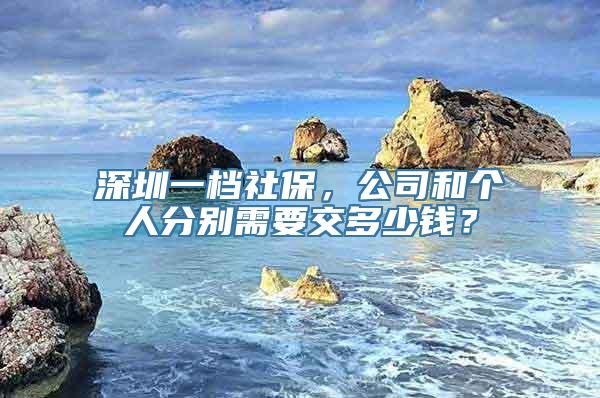 深圳一档社保，公司和个人分别需要交多少钱？