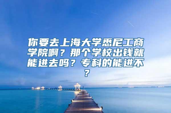 你要去上海大学悉尼工商学院啊？那个学校出钱就能进去吗？专科的能进不？