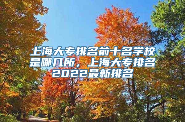 上海大专排名前十名学校是哪几所，上海大专排名2022最新排名