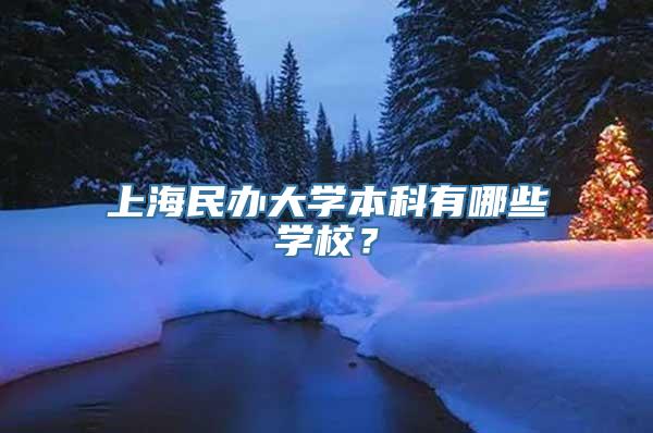 上海民办大学本科有哪些学校？