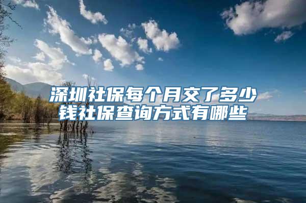 深圳社保每个月交了多少钱社保查询方式有哪些