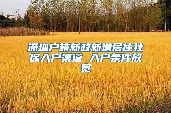 深圳户籍新政新增居住社保入户渠道 入户条件放宽