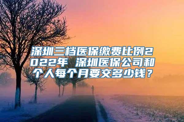 深圳三档医保缴费比例2022年 深圳医保公司和个人每个月要交多少钱？