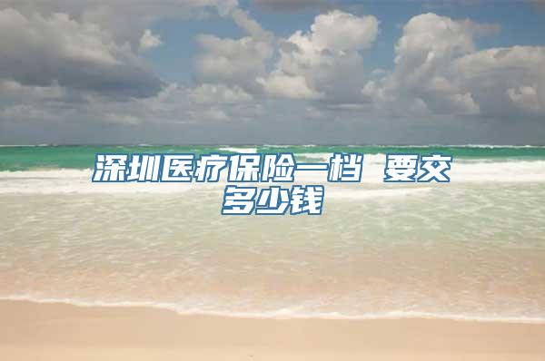 深圳医疗保险一档 要交多少钱