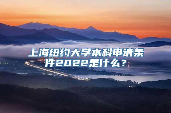 上海纽约大学本科申请条件2022是什么？