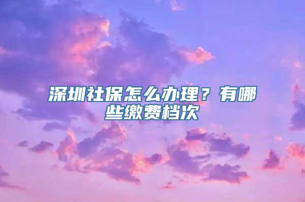 深圳社保怎么办理？有哪些缴费档次