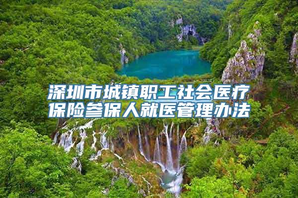 深圳市城镇职工社会医疗保险参保人就医管理办法