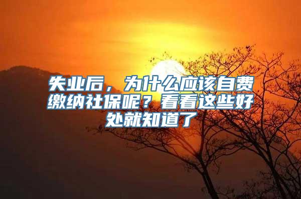 失业后，为什么应该自费缴纳社保呢？看看这些好处就知道了