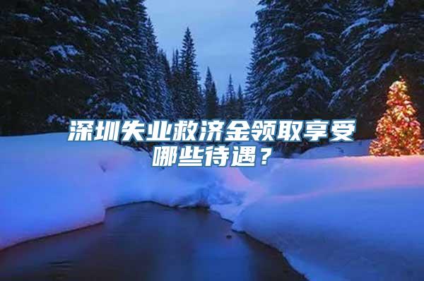 深圳失业救济金领取享受哪些待遇？