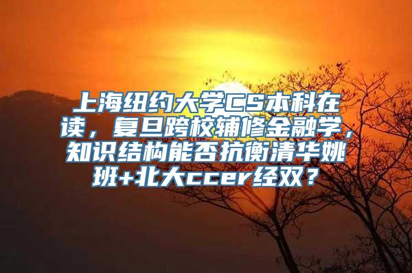 上海纽约大学CS本科在读，复旦跨校辅修金融学，知识结构能否抗衡清华姚班+北大ccer经双？