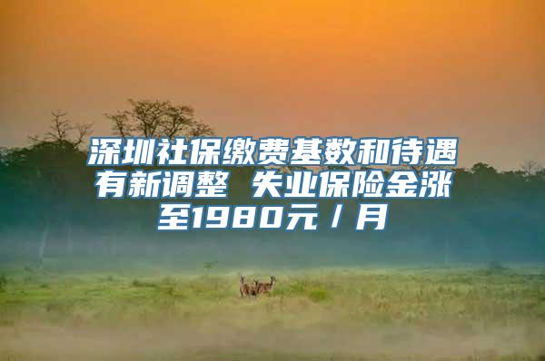 深圳社保缴费基数和待遇有新调整 失业保险金涨至1980元／月