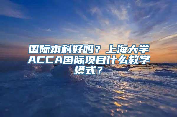 国际本科好吗？上海大学ACCA国际项目什么教学模式？