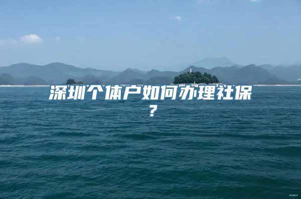 深圳个体户如何办理社保？