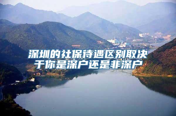 深圳的社保待遇区别取决于你是深户还是非深户