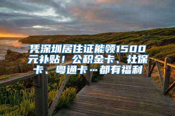 凭深圳居住证能领1500元补贴！公积金卡、社保卡、粤通卡…都有福利