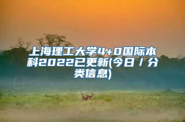 上海理工大学4+0国际本科2022已更新(今日／分类信息)