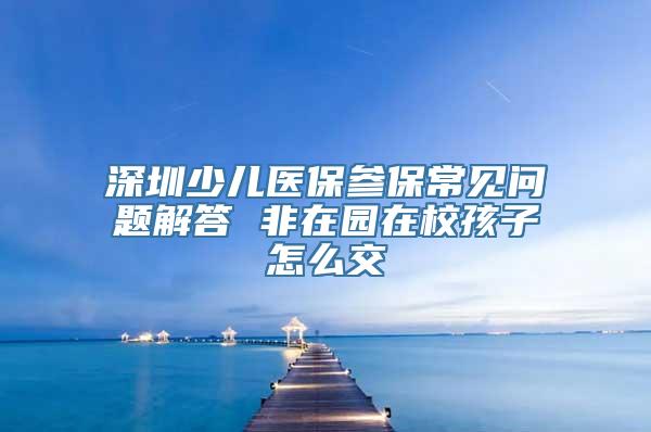 深圳少儿医保参保常见问题解答 非在园在校孩子怎么交