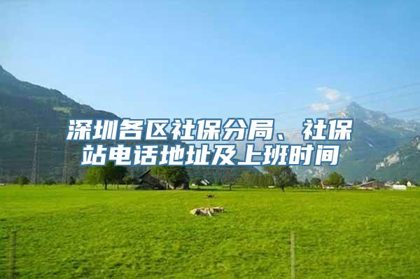 深圳各区社保分局、社保站电话地址及上班时间