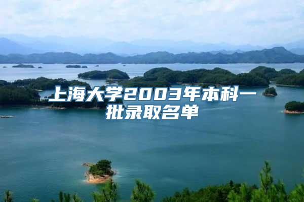 上海大学2003年本科一批录取名单