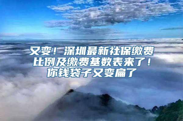 又变！深圳最新社保缴费比例及缴费基数表来了！你钱袋子又变扁了