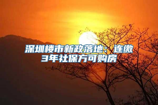 深圳楼市新政落地：连缴3年社保方可购房