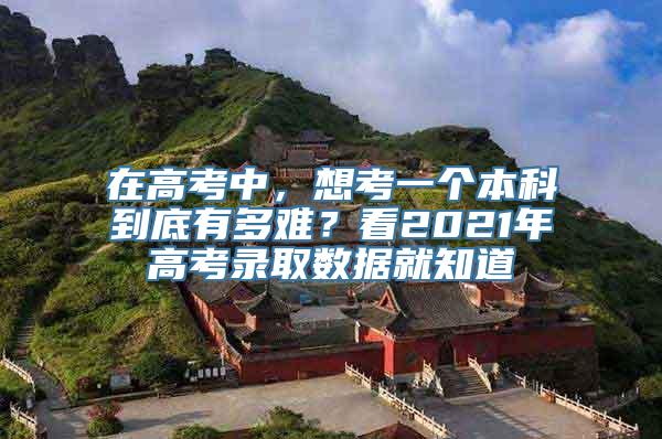 在高考中，想考一个本科到底有多难？看2021年高考录取数据就知道