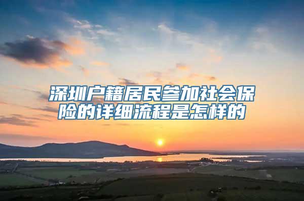 深圳户籍居民参加社会保险的详细流程是怎样的