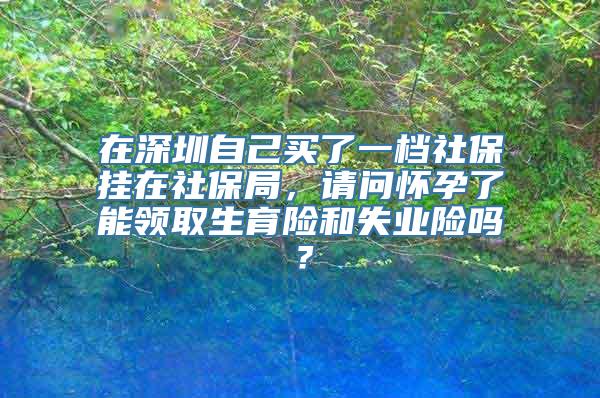 在深圳自己买了一档社保挂在社保局，请问怀孕了能领取生育险和失业险吗？