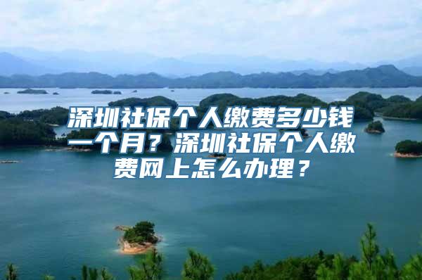 深圳社保个人缴费多少钱一个月？深圳社保个人缴费网上怎么办理？