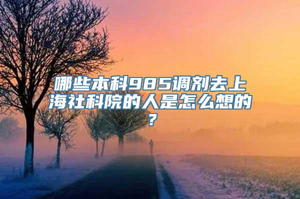 哪些本科985调剂去上海社科院的人是怎么想的？