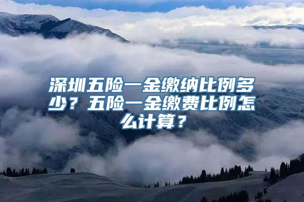 深圳五险一金缴纳比例多少？五险一金缴费比例怎么计算？