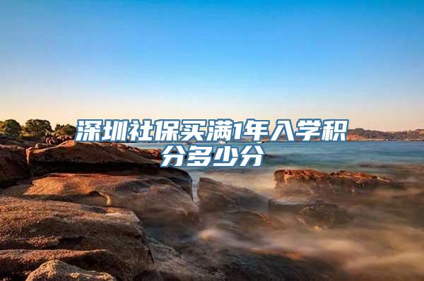 深圳社保买满1年入学积分多少分