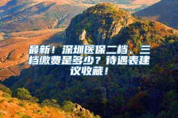 最新！深圳医保二档、三档缴费是多少？待遇表建议收藏！