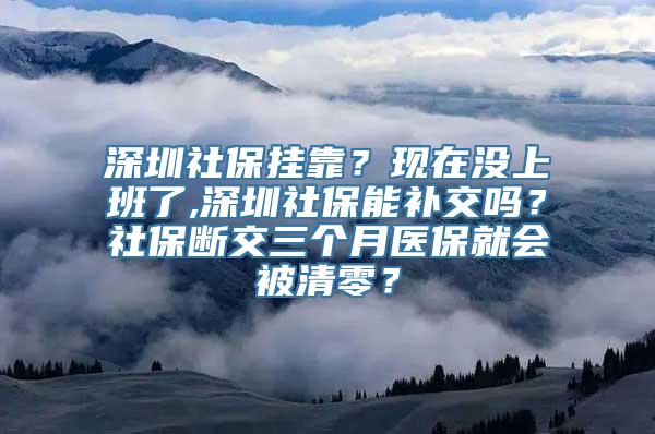 深圳社保挂靠？现在没上班了,深圳社保能补交吗？社保断交三个月医保就会被清零？