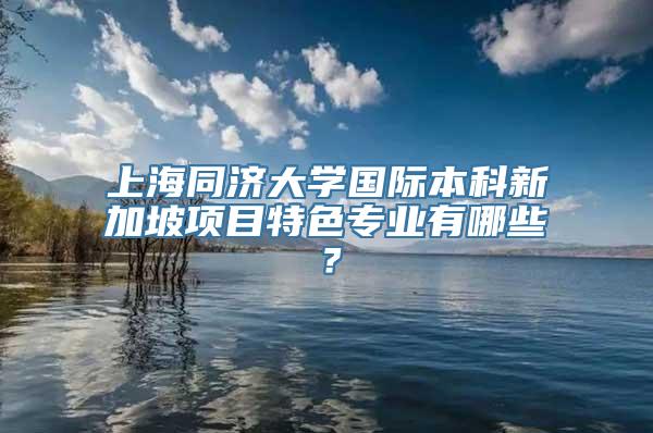 上海同济大学国际本科新加坡项目特色专业有哪些？