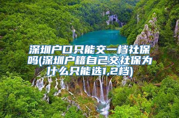 深圳户口只能交一档社保吗(深圳户籍自己交社保为什么只能选1,2档)