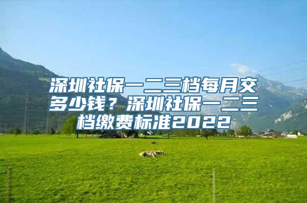 深圳社保一二三档每月交多少钱？深圳社保一二三档缴费标准2022