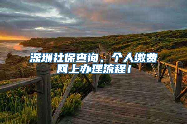 深圳社保查询、个人缴费网上办理流程！