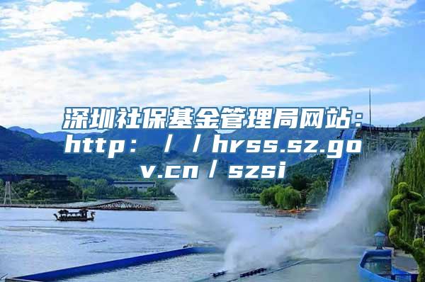 深圳社保基金管理局网站：http：／／hrss.sz.gov.cn／szsi