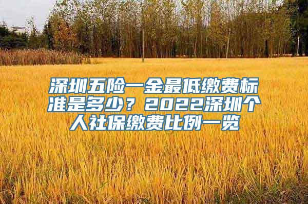 深圳五险一金最低缴费标准是多少？2022深圳个人社保缴费比例一览