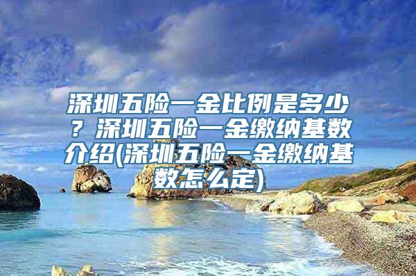 深圳五险一金比例是多少？深圳五险一金缴纳基数介绍(深圳五险一金缴纳基数怎么定)